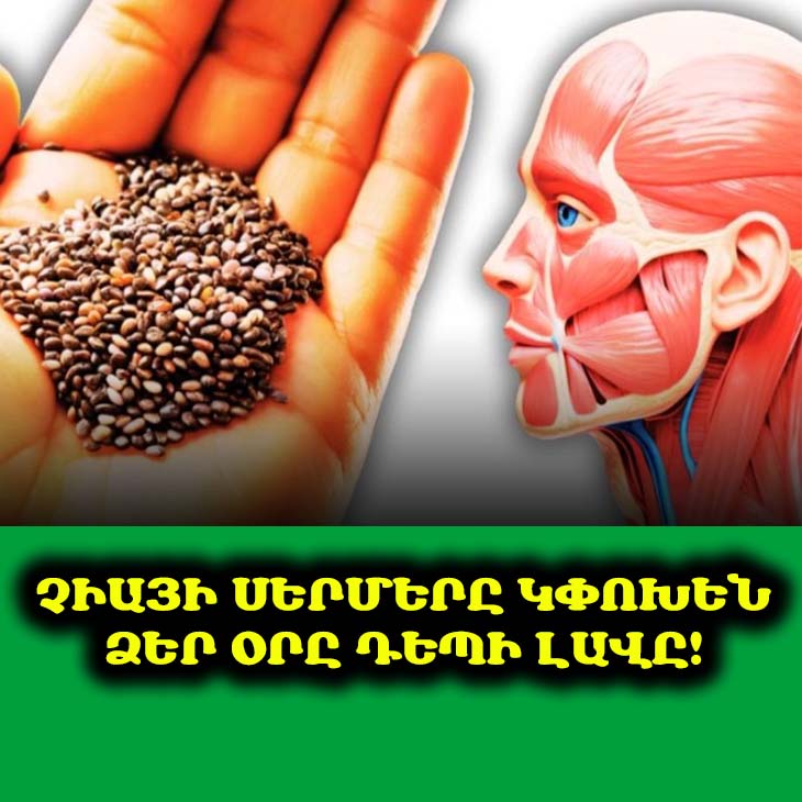 🌿 Չիայի սերմեր՝ առողջության գաղտնիքը. բացահայտեք դրանց անհավանական օգուտները