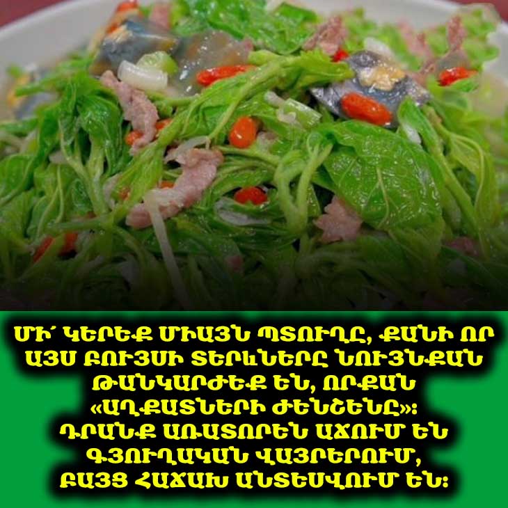 🌿 Գուշակեք, թե ինչ բույսի մասին է խոսքը։ Դրա տերևները նույնքան արժեքավոր են, որքան ժենշենը։