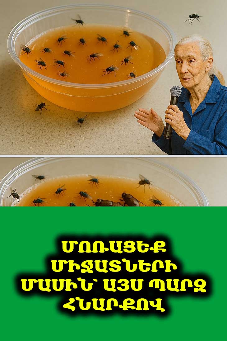 🦟 Ճանճեր և խավարասերներ՝ այլևս ոչ մի խնդիր։ Տնական լուծում՝ մաքուր տան համար։