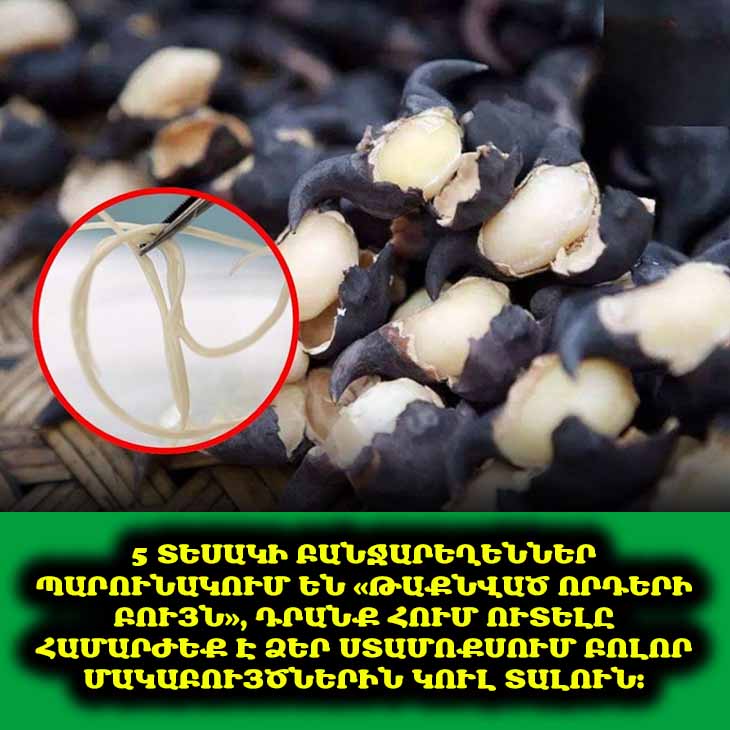 🥕 Սիրու՞մ եք հում բանջարեղեն. Զգուշացեք. Կան 5 տեսակներ, որոնք կարող են վտանգավոր լինել։