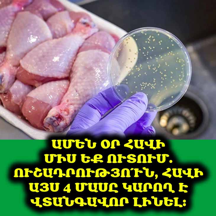 Շատերն անտեսում են այս նախազգուշացումը, բայց դուք չպետք է անեք դա։ 🍗 Հավի 4 ամենաթունավոր մասերը, որոնցից պետք է խուսափել։