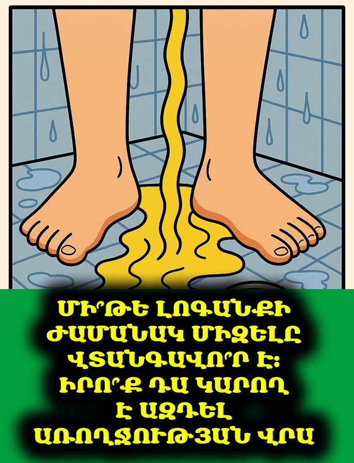 Լոգանքի ժամանակ միզելը. առասպելնե՞ր, թե՞ իրողություններ, և ի՞նչ հետևանքներ ունի 🚿