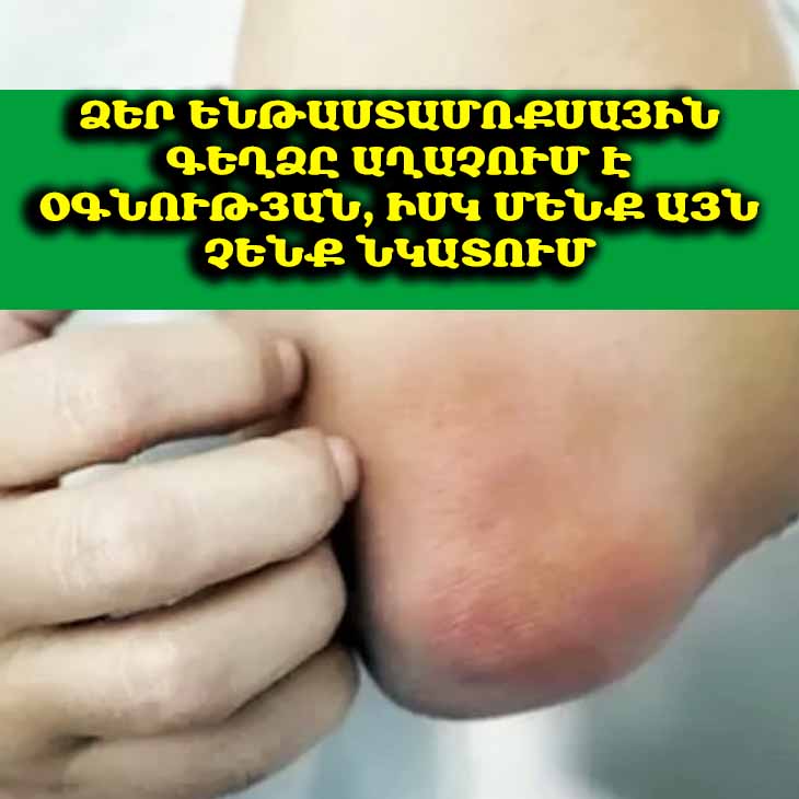 Ձեր ենթաստամոքսային գեղձը աղաչում է օգնության, իսկ մենք այն չենք նկատում. 5 նշան՝ 50-ից հետո հասկանալու համար, որ այն սահմանին է