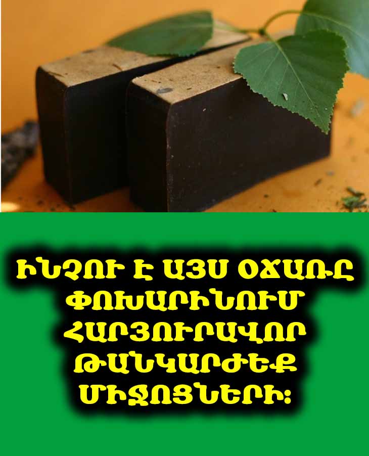 🧼 Ձյութի օճառ. 10 անսպասելի կիրառումներ, որոնք կփոխեն ձեր կյանքը։