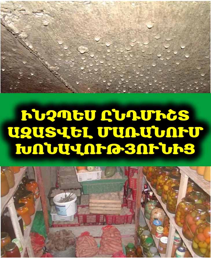 Վարպետ հարևանը պատմեց, թե ինչպես ընդմիշտ ազատվել մառանում խոնավությունից։ 🏡