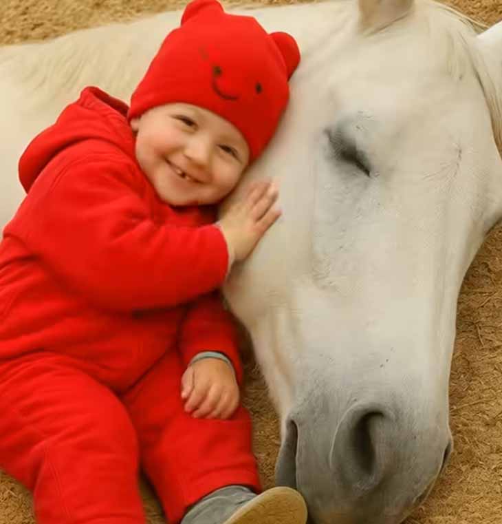 Իմ երկու տարեկան դուստրը 👧 ժամերով խաղում էր հարևանի ձիու 🐴 հետ, բայց մի օր մենք սարսափելի մի բան իմացանք այդ ձիու մասին։ 😱