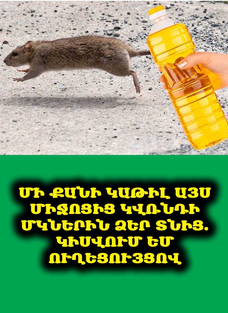 Մի քանի կաթիլ այս միջոցից կվռնդի մկներին Ձեր տնից. Կիսվում եմ ուղեցույցով 🐭🏡