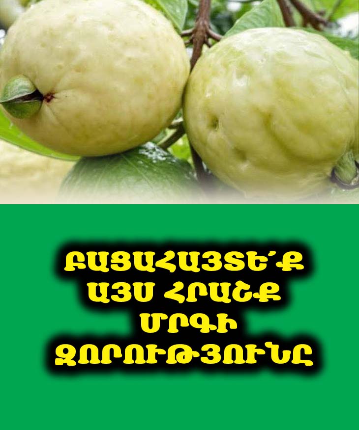 Բացահայտե՛ք այս հրաշք մրգի զորությունը՝ արյան շաքարը իջեցնելու համար 🩸🥭
