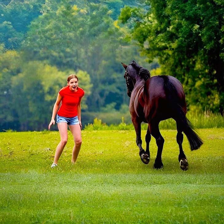 🐴 Ինչպես է 16-ամյա աղջիկը վարժեցնում անզուսպ ձիունն՝ մեկ գիշերում դառնալով համաշխարհային սենսացիա։