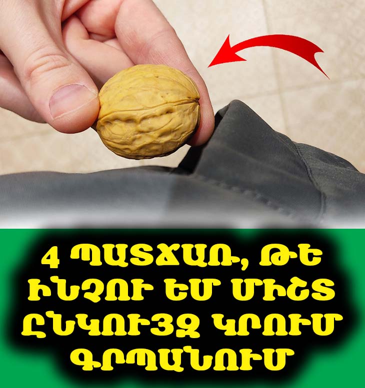 4 պատճառ, թե ինչու եմ միշտ ընկույզ կրում գրպանում։ 🌰 Այս մեթոդը փոխանցվում է սերունդներով։