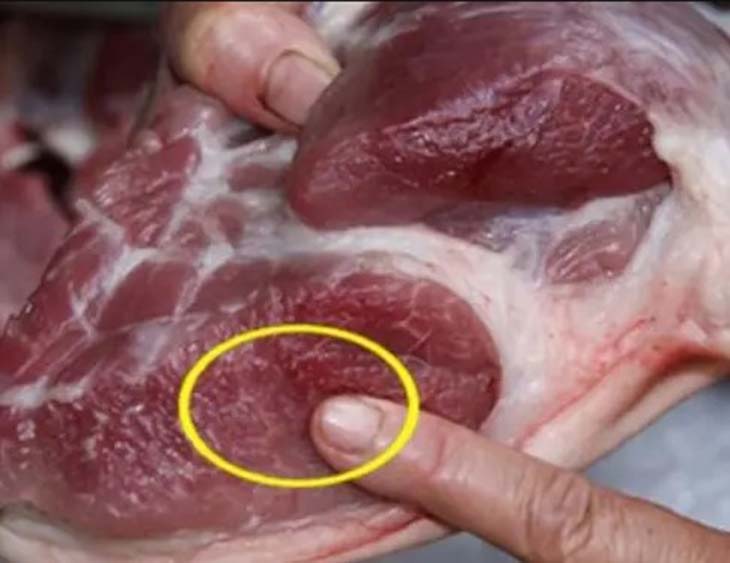 Բացարձակապես մի՛ գնեք խոզի միս այս հատկանիշներով 🚫🐷