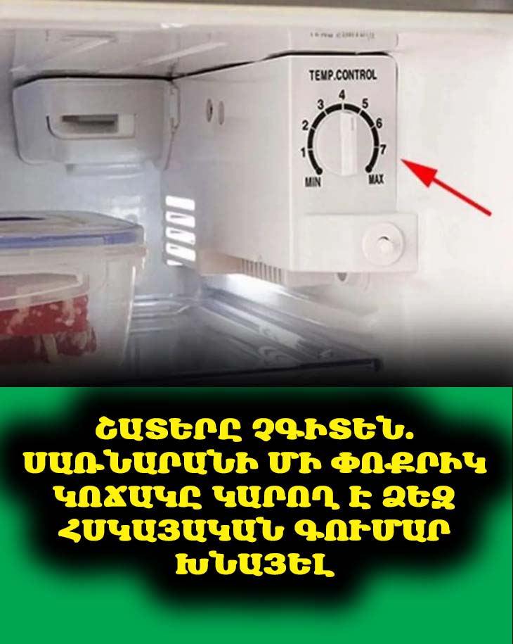Ձեր Սառնարանի Մի Փոքրիկ Կոճակը Կարող Է Ձեզ Շատ Գումար Խնայել Էլեկտրաէներգիայի Վճարներից. Շատերը Չգիտեն Այս Մասին 💡