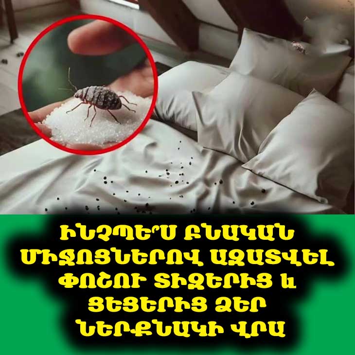 🔍 Գիշերային Թաքնվողներ. 5 Տնային Միջոց, Որոնք Կօգնեն Միանգամից Ազատվել Ներքնակի Ցեցերից։