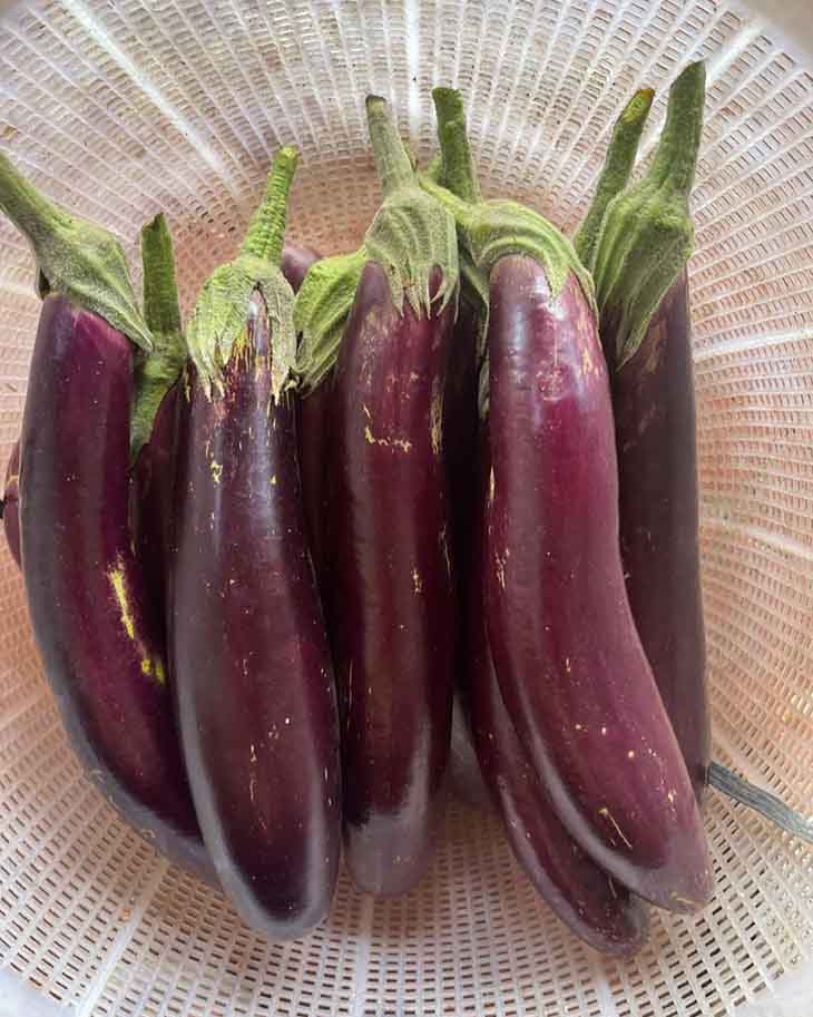 Ինչո՞ւ է պետք անպայման սմբուկ ուտել։ Բժիշկները թվարկում են 6 զարմանալի օգուտ 🍆💪