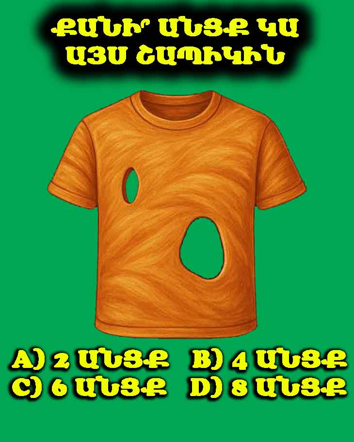 🤔👕 Քանի՞ անցք կա այս շապիկին. Ձեր պատասխանը կորոշի՝ նարցի՞ս եք արդյոք