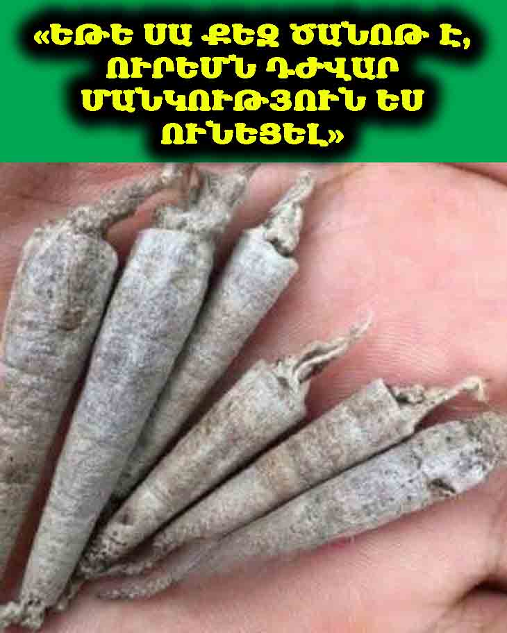🌿 ԵԹԵ ՀԻՇՈՒՄ ԵՔ ՍԱ, ՈՒՐԵՄՆ ՁԵՐ ՄԱՆԿՈՒԹՅՈՒՆՆ ՈՒՐԻՇ Է ԵՂԵԼ 🌿