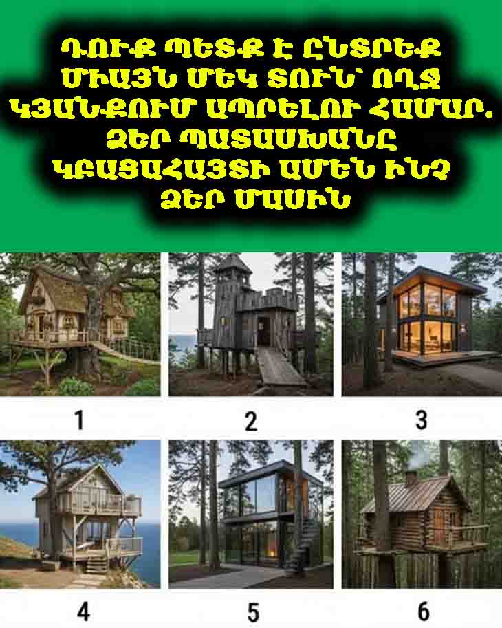 😱 ԴՈՒՔ ՊԵՏՔ Է ԸՆՏՐԵՔ ՄԻԱՅՆ ՄԵԿ ՏՈՒՆ՝ ՈՂՋ ԿՅԱՆՔՈՒՄ ԱՊՐԵԼՈՒ ՀԱՄԱՐ. ՁԵՐ ՊԱՏԱՍԽԱՆԸ ԿԲԱՑԱՀԱՅՏԻ ԱՄԵՆ ԻՆՉ ՁԵՐ ՄԱՍԻՆ