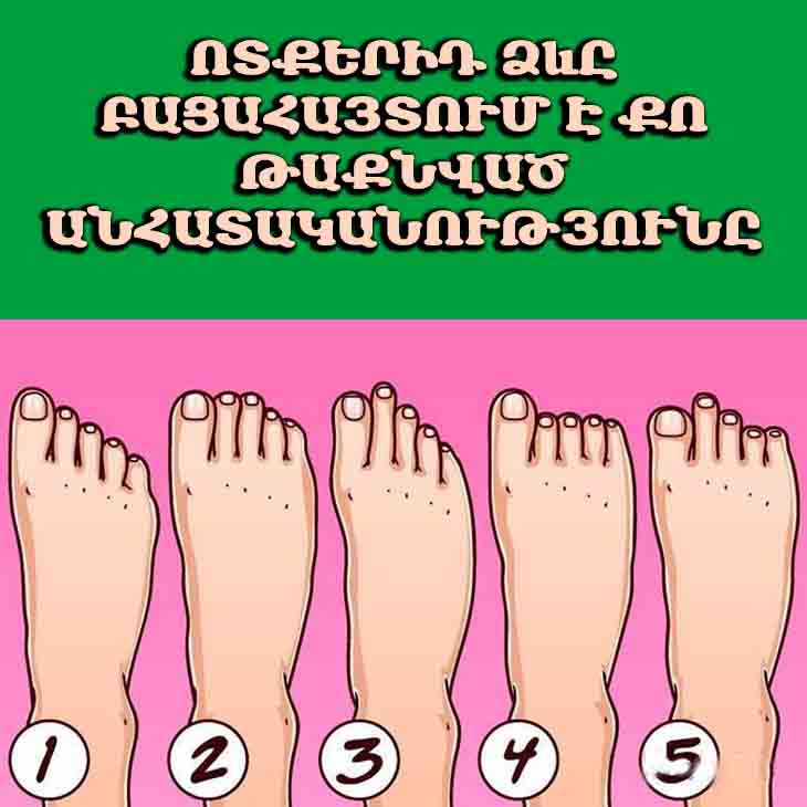 ՈՏՔԻ 5 ՏԵՍԱԿ, ՈՐՈՆՑԻՑ ՅՈՒՐԱՔԱՆՉՅՈՒՐԸ ԲԱՑԱՀԱՅՏՈՒՄ Է ՁԵՐ ԲՆԱՎՈՐՈՒԹՅԱՆ ԹԱՔՆՎԱԾ ԳԾԵՐԸ