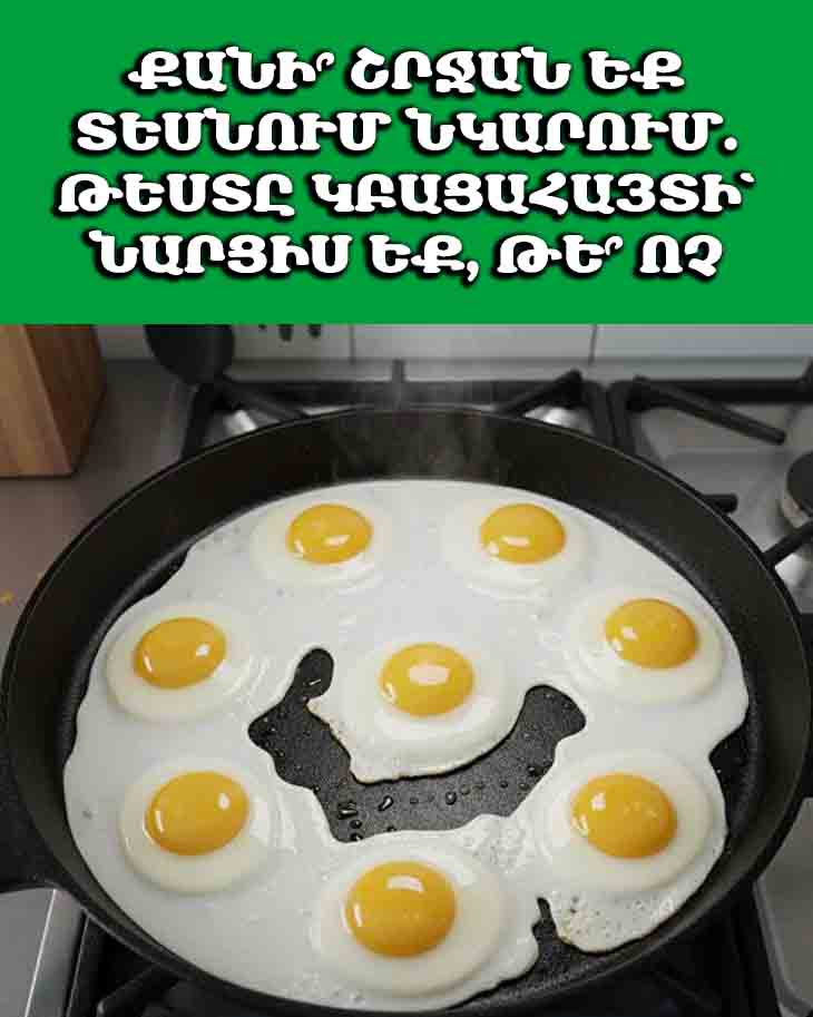 ՔԱՆԻ՞ ՇՐՋԱՆ ԵՔ ՏԵՍՆՈՒՄ ՆԿԱՐՈՒՄ. ԹԵՍՏԸ ԿԲԱՑԱՀԱՅՏԻ՝ ՆԱՐՑԻՍ ԵՔ, ԹԵ՞ ՈՉ