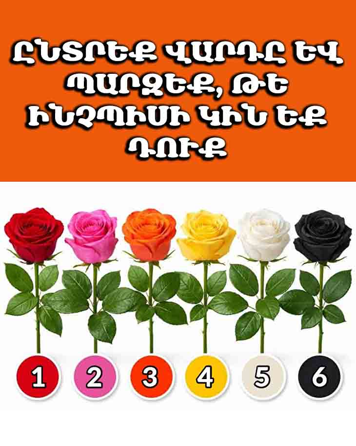 🌹 ԸՆՏՐԵՔ ՎԱՐԴԸ ԵՎ ՊԱՐԶԵՔ, ԹԵ ԻՆՉՊԻՍԻ ԿԻՆ ԵՔ ԴՈՒՔ 🌹