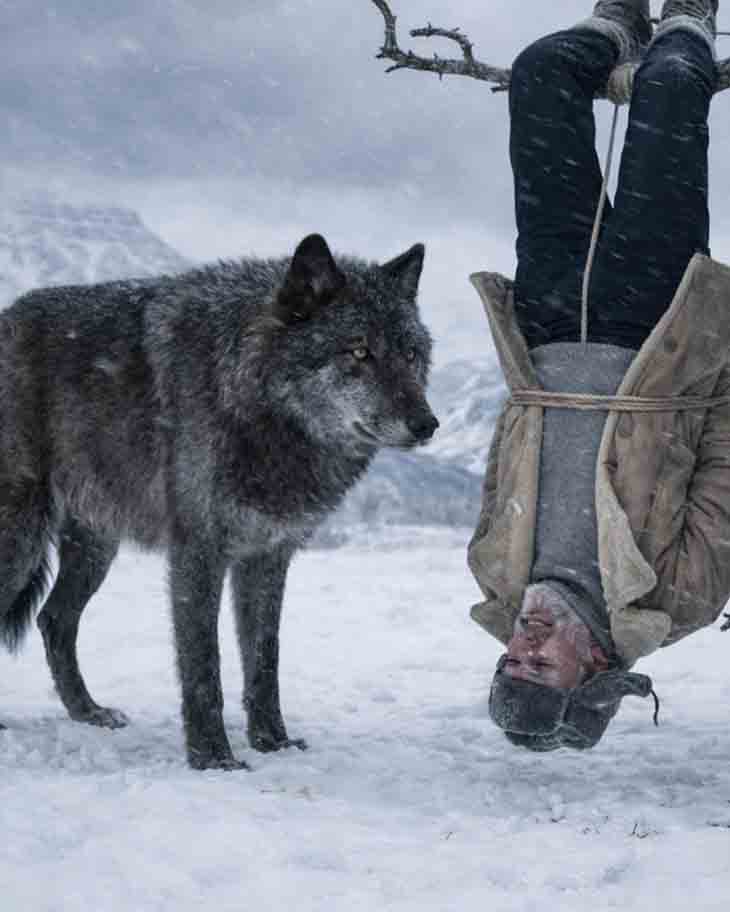 🐺 «ԾԵՐՈՒՆԻՆ ՉԻ ԳՈՅԱՏԵՎԻ», — ԱՍԱՑԻՆ ՆՐԱՆՔ ՈՒ ՀԵՌԱՑԱՆ։ ԱՌԱՎՈՏՅԱՆ ՁՅԱՆ ՎՐԱՅԻ ԱՐՅԱՆ ՀԵՏՔԵՐԸ ԲՈԼՈՐՈՎԻՆ ԱՅԼ ՊԱՏՄՈՒԹՅՈՒՆ ՊԱՏՄԵՑԻՆ 🐺