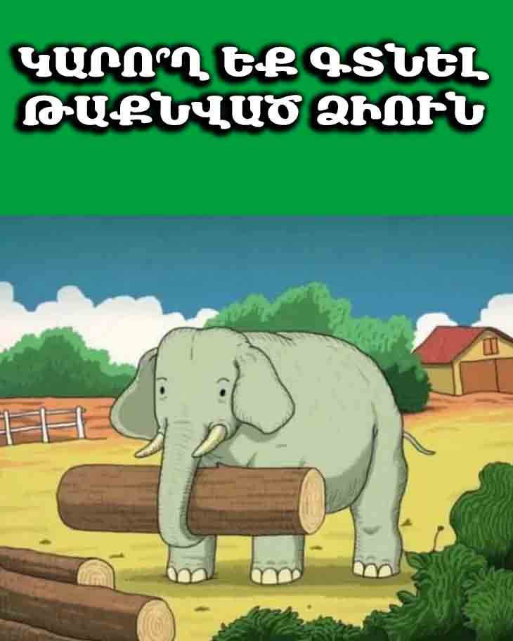 🐴 ԿԱՐՈ՞Ղ ԵՔ ԳՏՆԵԼ ԹԱՔՆՎԱԾ ՁԻՈՒՆ։ ԸՆԴՈՒՆԵՔ ԱՅՍ ԲԱՐԴԱԳՈՒՅՆ ՄԱՐՏԱՀՐԱՎԵՐՆ ԸՆԴԱՄԵՆԸ 7 ՎԱՅՐԿՅԱՆՈՒՄ 🐴