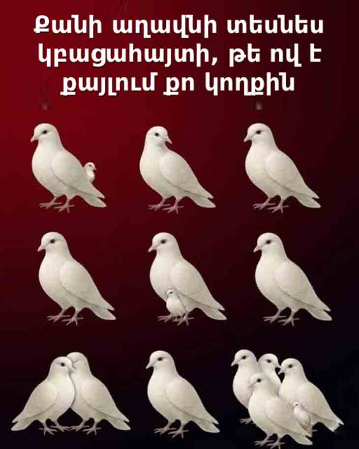 🕊️ ԱՅՆ ԱՂԱՎՆԻՆԵՐԻ ՔԱՆԱԿԸ, ՈՐՈՆՔ ԱՌԱՋԻՆՆ ԵՔ ՏԵՍՆՈՒՄ, ԲԱՑԱՀԱՅՏՈՒՄ Է ՁԵՐ ԿՈՂՔԻՆ ՔԱՅԼՈՂԻՆ 🕊️