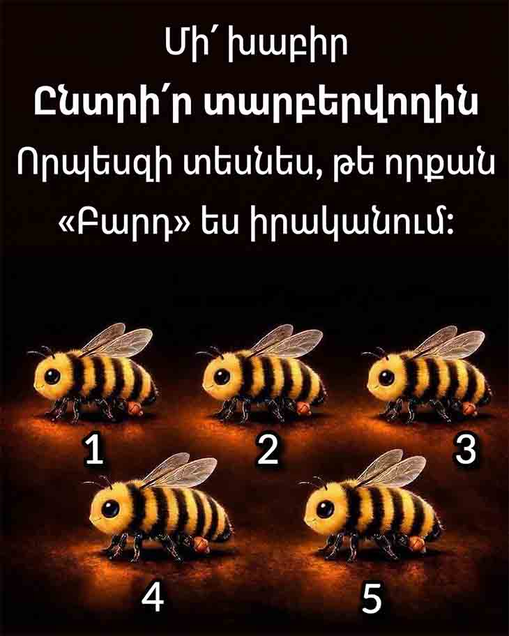 🚫 ՄԻ՛ ԽԱԲԵՔ ԻՆՔՆԵՐԴ ՁԵԶ․ ԸՆՏՐԵՔ ՏԱՐԲԵՐՎՈՂ ՊԱՏԿԵՐԸ ԵՎ ՊԱՐԶԵՔ՝ ՈՐՔԱՆՈՎ ԵՔ &laquo;ԲԱՐԴ&raquo; ՄԱՐԴ 🚫