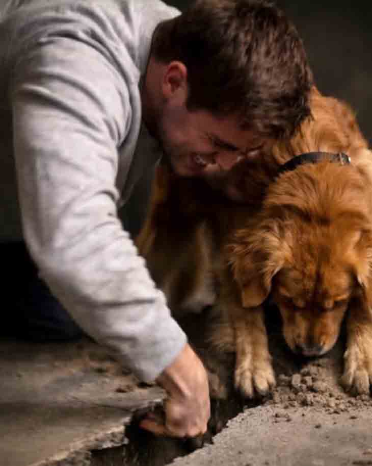 😱 ԿԱՑԱՐԱՆԻՑ ՎԵՐՑՐԱԾ ՇՈՒՆՍ ՉԷՐ ԴԱԴԱՐՈՒՄ ՔԵՐԵԼ ՆԿՈՒՂԻ ԲԵՏՈՆԸ. ԵՐԲ Ի ՎԵՐՋՈ ՔԱՆԴԵՑԻ ՀԱՏԱԿԸ, ՊԱՐԶԱՊԵՍ ՍԱՐՍԱՓԵՑԻ ՆԵՐՍՈՒՄ ԳՏԱԾԻՑ 😱