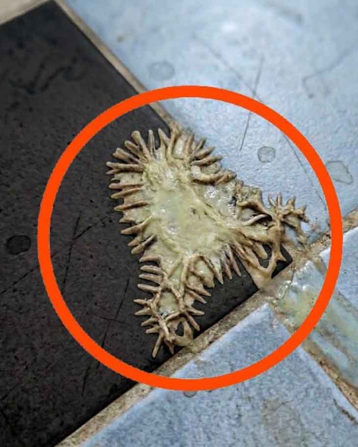 😱 ԱՅՍ ՏԱՐՕՐԻՆԱԿ ԻՐԸ ԳՏԱ ԸՆԿԵՐՈՒՀՈՒՍ ԼՈԳԱՍԵՆՅԱԿՈՒՄ. ՄԵԿ ԺԱՄ ՆԱՅՈՒՄ ԷԻՆՔ ՈՒ ՉԷԻՆՔ ՀԱՍԿԱՆՈՒՄ՝ ԻՆՉ Է ԴԱ 😱