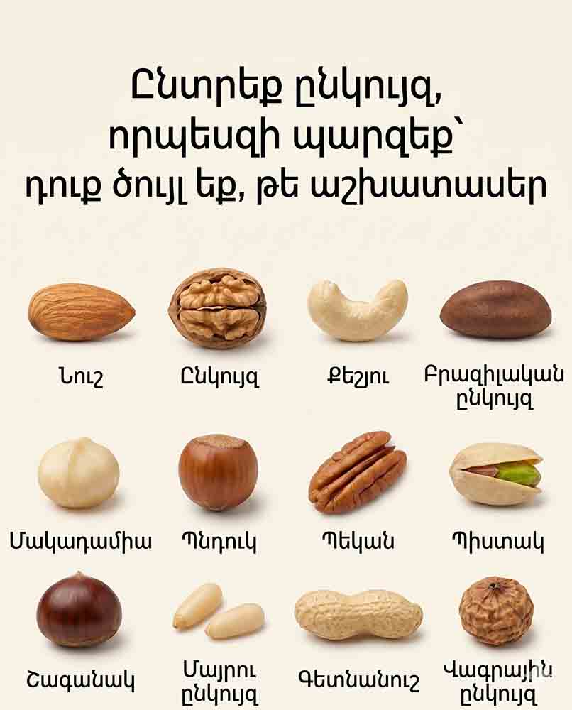 🥜 ԸՆՏՐԵ՛Ք ԸՆԿՈՒՅԶԸ. ԱՐԴՅՈՔ ԾՈ՞ՒՅԼ ԵՔ, ԹԵ՞ ԱՇԽԱՏԱՄՈԼ (ԱՆՁՆԱՅԻՆ ԹԵՍՏ) 🧠