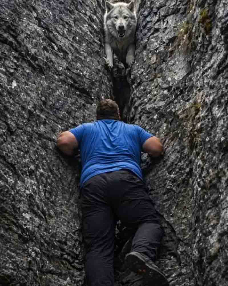 ԱՆՏԱՌՈՎ ԶԲՈՍՆԵԼԻՍ ՏՂԱՄԱՐԴԸ ՆԿԱՏԵՑ ԵՐԿՈՒ ՀՍԿԱՅԱԿԱՆ ՔԱՐԵՐԻ ԱՐԱՆՔՈՒՄ ԱՐԳԵԼԱՓԱԿՎԱԾ ԵՎ ՀՈՒՍԱՀԱՏ ՕԳՆՈՒԹՅՈՒՆ ԿԱՆՉՈՂ ՄԻ ԳԱՅԼԻ. ՎՏԱՆԳԵԼՈՎ ՍԵՓԱԿԱՆ ԿՅԱՆՔԸ՝ ՆԱ ՓՐԿԵՑ ԳԻՇԱՏՉԻՆ... ԲԱՅՑ ՀԵՏԱԳԱ ԻՐԱԴԱՐՁՈՒԹՅՈՒՆՆԵՐԸ ՆՐԱՆ ԻՍԿԱԿԱՆ ՇՈԿԻ ԵՆԹԱՐԿԵՑԻՆ 😱 😲