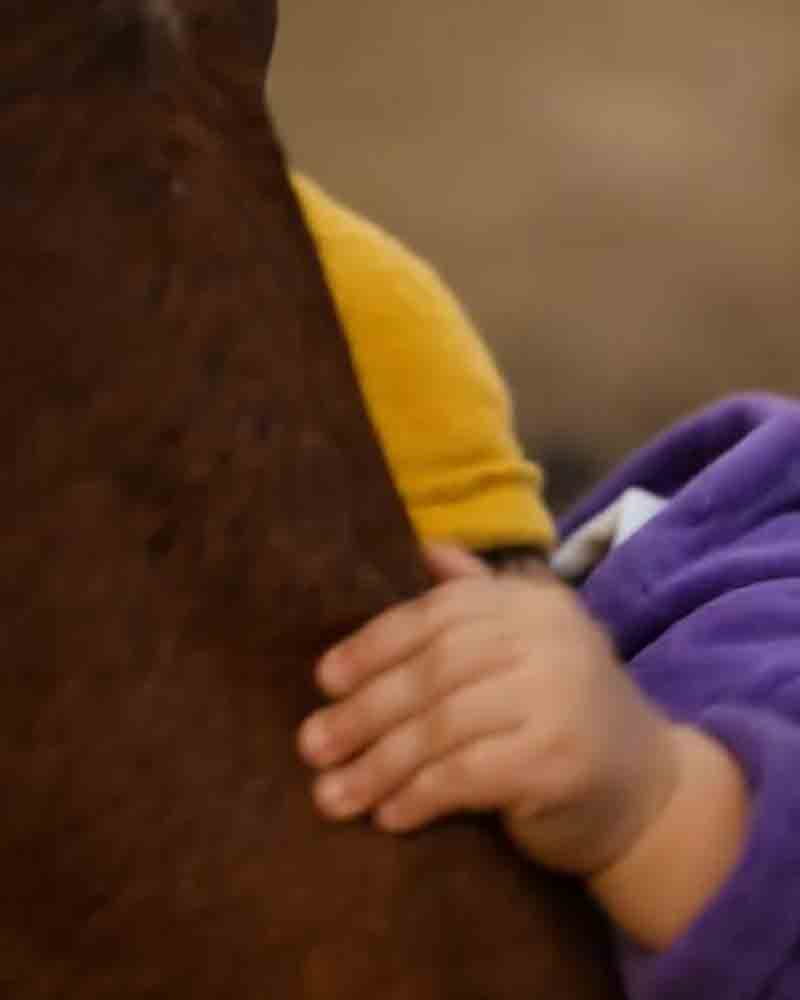 ԻՄ 2 ՏԱՐԵԿԱՆ ԴՈՒՍՏՐԸ ՊԱՇՏՈՒՄ ԷՐ ԽԱՂԱԼ ՀԱՐԵՎԱՆՆԵՐԻ ՁԻՈՒ ՀԵՏ ԵՎ ԿԱՐՈՂ ԷՐ ԺԱՄԵՐ ԱՆՑԿԱՑՆԵԼ ՆՐԱ ԿՈՂՔԻՆ, ԲԱՅՑ ՄԻ ՕՐ ՄԵՆՔ ՍԱՐՍԱՓԵԼԻ ԲԱՆ ԻՄԱՑԱՆՔ ԱՅԴ ԿԵՆԴԱՆՈՒ ՄԱՍԻՆ 😱😱
