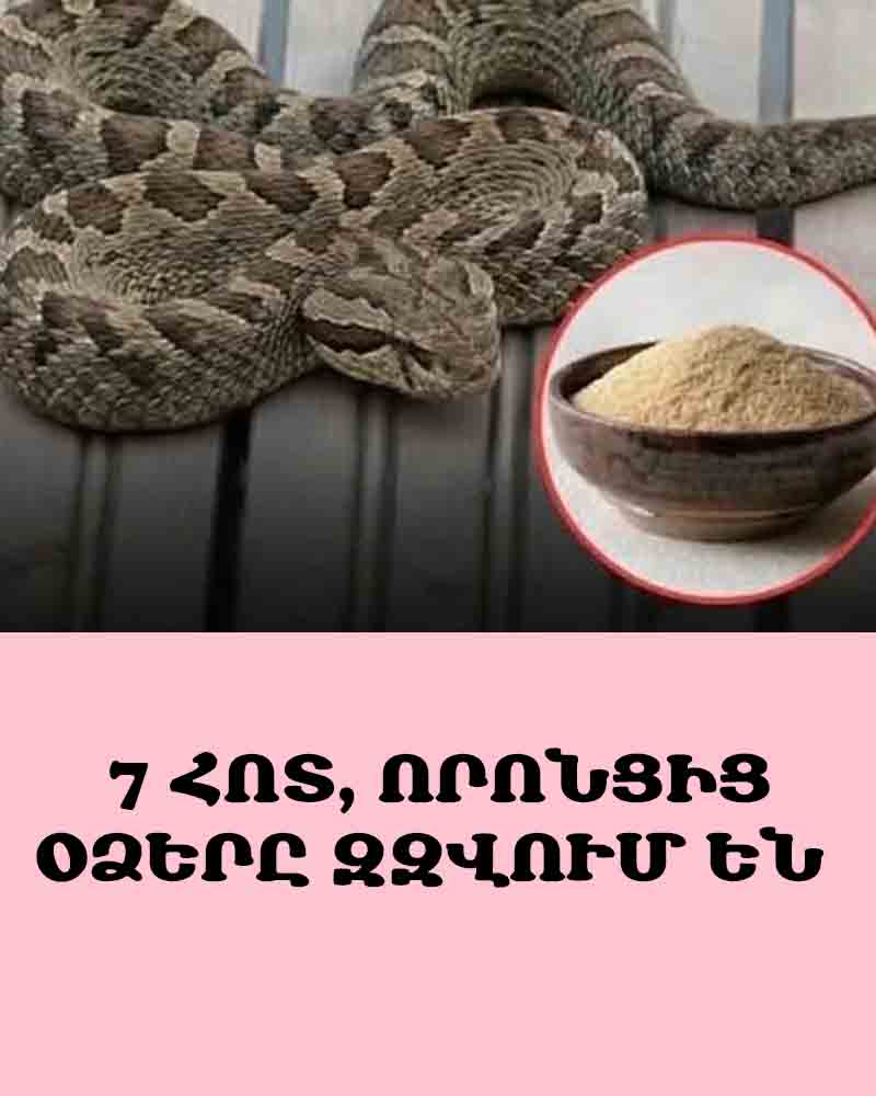 🐍 7 ՀՈՏ, ՈՐՈՆՑԻՑ ՕՁԵՐԸ ԶԶՎՈՒՄ ԵՆ, ԵՎ ԻՆՉՊԵՍ ԴՐԱՆՔ ՕԳՏԱԳՈՐԾԵԼ՝ ԱՅՍ ՍՈՂԱՑՈՂ ՀՅՈՒՐԵՐԻՆ ՏՆԻՑ ՀԵՌՈՒ ՊԱՀԵԼՈՒ ՀԱՄԱՐ 🐍