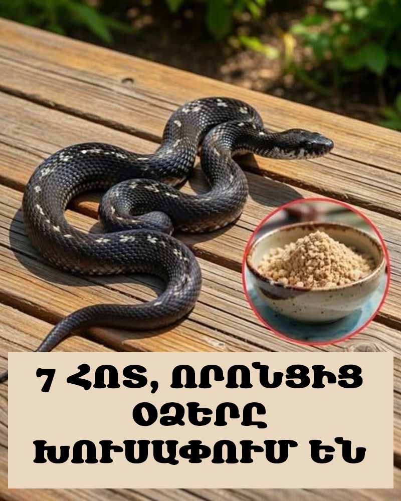 🐍 7 ՀՈՏ, ՈՐՈՆՑԻՑ ՕՁԵՐԸ ԽՈՒՍԱՓՈՒՄ ԵՆ, ԵՎ ԻՆՉՊԵՍ ԴՐԱՆՑՈՎ ՀԵՌՈՒ ՊԱՀԵԼ ՍՈՂԱՑՈՂ ՀՅՈՒՐԵՐԻՆ ՄԵՐ ՏՆԻՑ 🚫