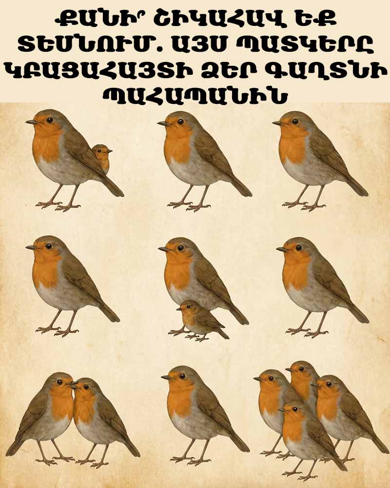 🐦 ՔԱՆԻ՞ ՇԻԿԱՀԱՎ ԵՔ ՏԵՍՆՈՒՄ. ԱՅՍ ՊԱՏԿԵՐԸ ԿԲԱՑԱՀԱՅՏԻ ՁԵՐ ԳԱՂՏՆԻ ՊԱՀԱՊԱՆԻՆ 🐦