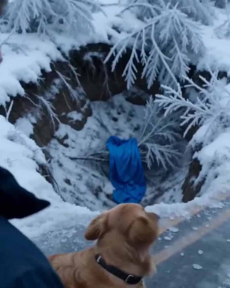 ❄️ ՍԱՐՍԱՓԱՀԱՐ ԳՈԼԴԵՆ ՌԻԹՐԻՎԵՐԸ ՁՅՈՒՆԱԾԱԾԿ ՄԱՅՐՈՒՂՈՒՄ ՓԱԿՈՒՄ ԷՐ ՄԵՔԵՆԱՆԵՐԻ ՃԱՆԱՊԱՐՀԸ՝ ՄԻՆՉԵՎ ՀԱՍԿԱՑԱ ԴՐԱ ԻՐԱԿԱՆ ՊԱՏՃԱՌԸ 🐶
