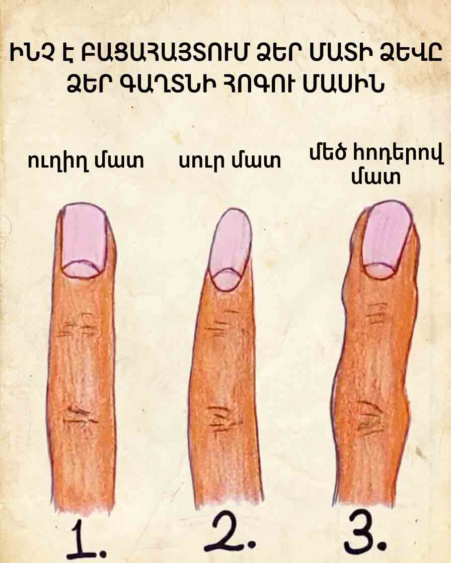 🔮 ԻՆՉ Է ՊԱՏՄՈՒՄ ՔՈ ՄԱՏՆԵՐԻ ՁԵՎԸ ՔՈ ՆԵՐՔԻՆ ԱՇԽԱՐՀԻ ՄԱՍԻՆ 🔮