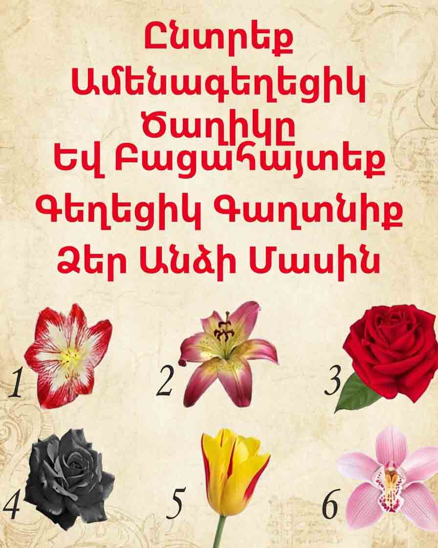 🌸 ԸՆՏՐԵՔ ԱՄԵՆԱԳԵՂԵՑԻԿ ԾԱՂԻԿՆ ՈՒ ԲԱՑԱՀԱՅՏԵՔ ՁԵՐ ՀՈԳՈՒ ԱՄԵՆԱԽՈՐ ԳԱՂՏՆԻՔԸ 🌸