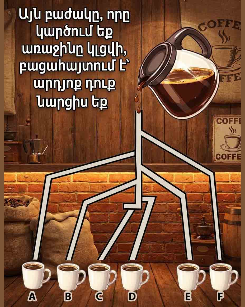 ☕ ԱՅՆ ԲԱԺԱԿԸ, ՈՐՆ ԱՌԱՋԻՆՆ ԵՔ ԸՆՏՐՈՒՄ, ՁԵՐ ՄԱՍԻՆ ԱՎԵԼԻՆ Է ՊԱՏՄՈՒՄ, ՔԱՆ ԿԱՐԾՈՒՄ ԵՔ ☕