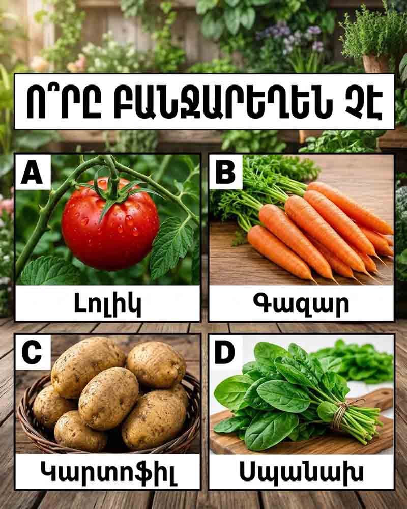 🍅 ԿԱՐՈ՞Ղ ԵՔ ՊԱՏԱՍԽԱՆԵԼ ԱՅՍ ԽԱԲՈՒՍԻԿ ՈՒ ԳԼԽԱՊՏՈՒՅՏ ԱՌԱՋԱՑՆՈՂ ՀԱՐՑԻՆ 🍅