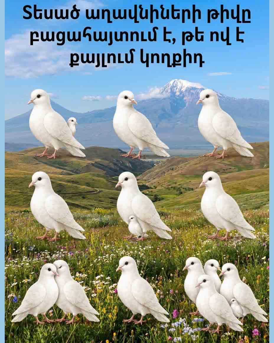 🕊️ ԱՌԱՋԻՆ ԱՂԱՎՆԻՆ, ՈՐԸ ԿՆԿԱՏԵՔ ԱՅՍ ՆԿԱՐՈՒՄ, ԿԱՐՈՂ Է ԲԱՑԱՀԱՅՏԵԼ ՁԵՐ ԷՈՒԹՅԱՆ ԱՄԵՆԱԹԱՔՆՎԱԾ ԳԱՂՏՆԻՔՆԵՐԸ 🕊️